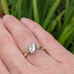 Cowrie Ring, Silver (with 18ct Gold grains)