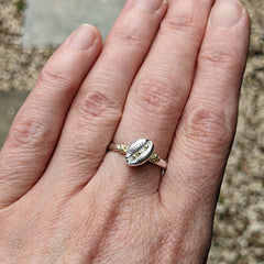 Cowrie Ring, Silver (with 18ct Gold grains)
