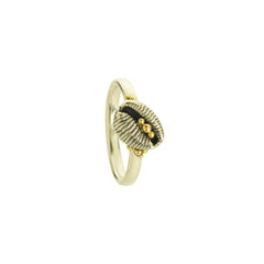 Cowrie Ring, Oxidised Silver (with 18ct Gold grains)