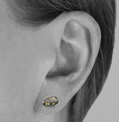 Cowrie Studs - Oxidised Silver with 18ct Gold grains