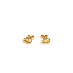 Cowrie Studs -  18ct Yellow gold vermeil (18ct gold plated silver)