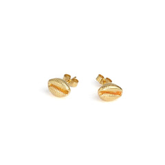 Cowrie Studs -  18ct Yellow gold vermeil (18ct gold plated silver)