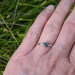 Cowrie Ring with Tiny Single shell, Oxidised Silver