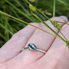 Cowrie Ring with Tiny Single shell, Oxidised Silver
