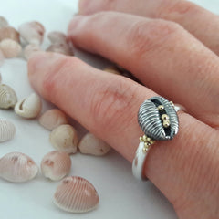 Cowrie Ring, Oxidised Silver (with 18ct Gold grains)