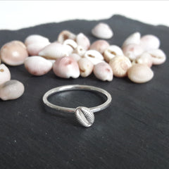 Cowrie Ring with Tiny Single shell, Silver