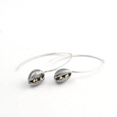 Cowrie Hook Earrings, Oxidised Silver (with 18ct Gold grains)