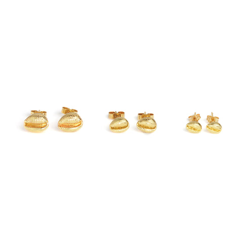 Cowrie Studs -  Solid 9ct Gold