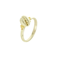 Cowrie Ring, Silver (with 18ct Gold grains)