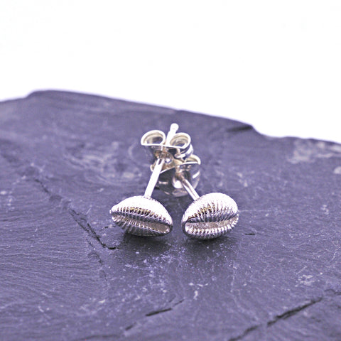 Cowrie Studs - Silver